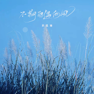 国产调教打屁股spanking
